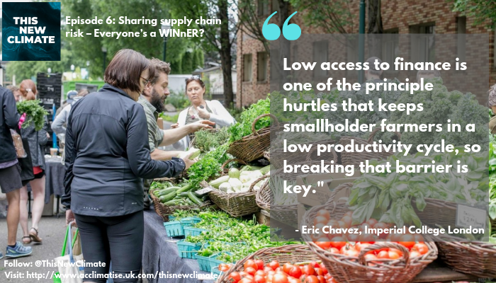How are the risks of climate change disproportionately shouldered by smallholder famers? Host @willbugler takes a deep dive into the intricate network of suppliers, traders and retailers that make up the food supply network. Listen here: acclimatise.uk.com/thisnewclimate/