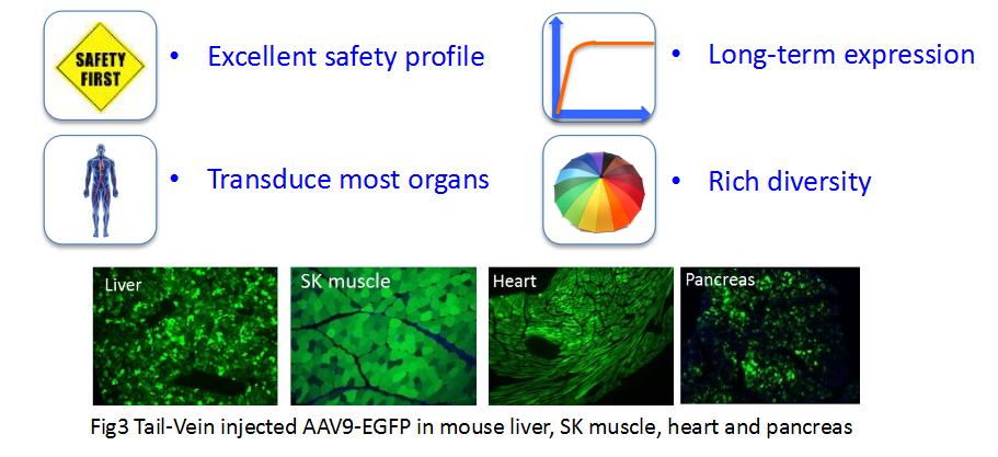 Packgene Biotech tweet media