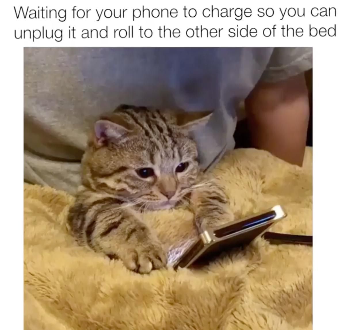 who else does this? https://t.co/2T0jY0J9I1 #phone #phones #bed #relatable  #charger #funny #lol #rofl #lmao #Lmfao #meme #memes, image size:1199x1148