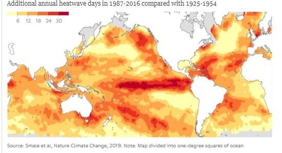 cleantechnica's tweet photo. Heat Waves As Deadly As Forest Fires Sweep Through World’s Oceans https://t.co/spAhuX6wje https://t.co/iiuZITYGL3
