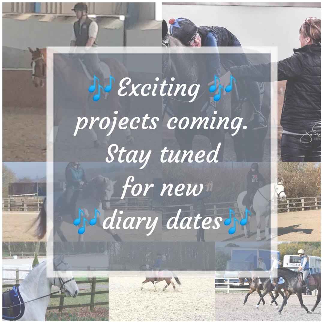 AmandaBirchDressage tweet media