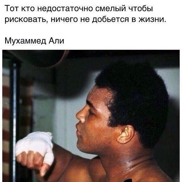 fight_evolution's tweet image. 