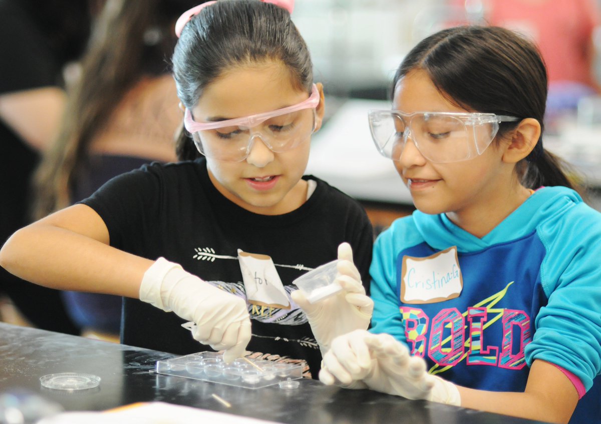 DaltonState's tweet photo. Our popular summer camps are now open for registration. These fun-filled, STEM-themed camps fill quickly so register today. #runboldly #exploreboldly
https://t.co/4CFHNrVQTq https://t.co/dd43IJR2IU