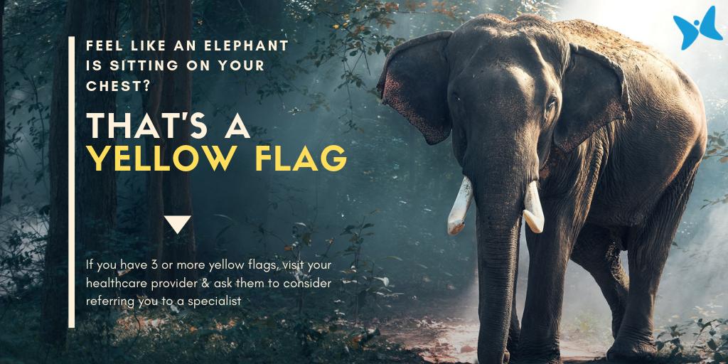 AsthmaCanada's tweet photo. Chest tightness due to #asthma can feel like an elephant is sitting on you &amp; it’s a #yellowflag. If you have 3 or more yellow flags, ask your doc if you need to see a specialist https://t.co/p2PwtQ7ktI #asthmayellowflag #yellowzone #thatsayellowflag #asthmaredflag #thatsaredflag https://t.co/DZFdVM4bOQ