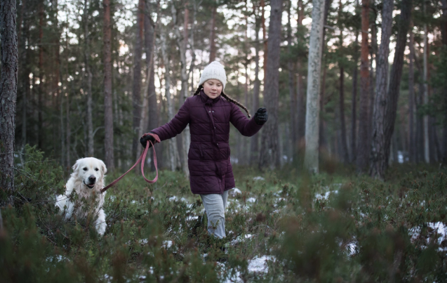 RollingStone's tweet photo. How Greta Thunberg’s lone strike against climate change became a global movement https://t.co/KmBEzwufB7 #WomenShapingtheFuture https://t.co/FnTFm69dVr