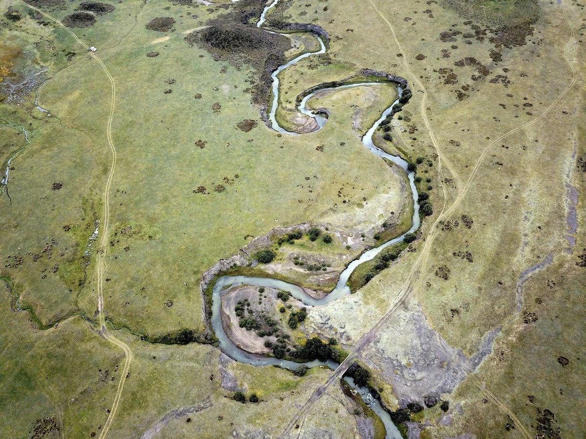 Where everything begins: the paramos in the Andes are the cradle of the Anazonian rivers. Their protection is crucial.