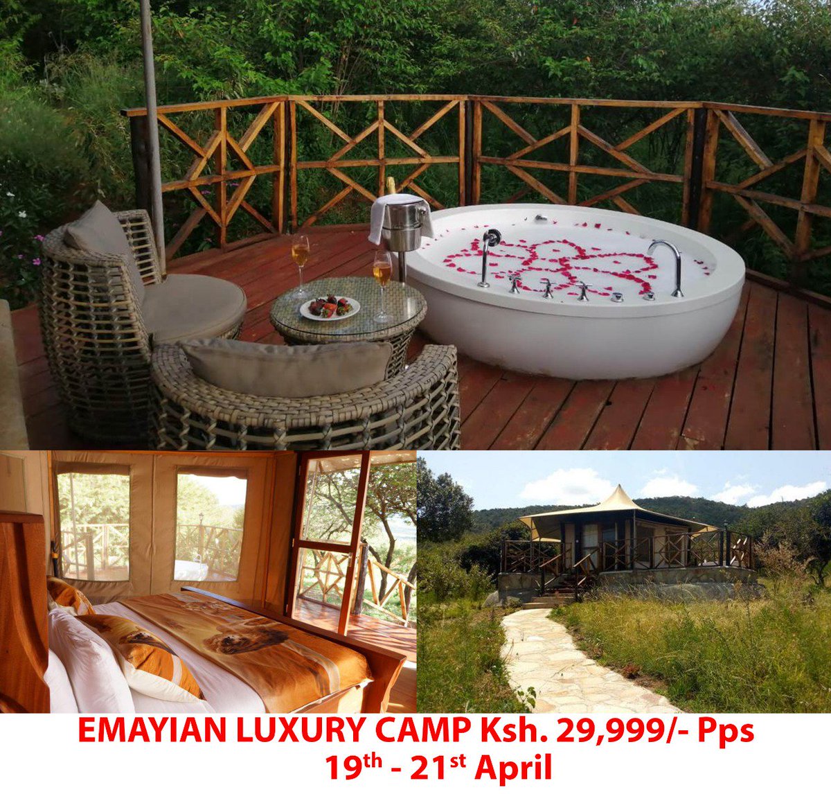 𝗕𝗼𝗻𝗳𝗶𝗿𝗲 𝗔𝗱𝘃𝗲𝗻𝘁𝘂𝗿𝗲𝘀 tweet media