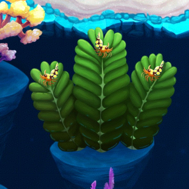 herma69rj's tweet image. #splashgame onelink.to/splash