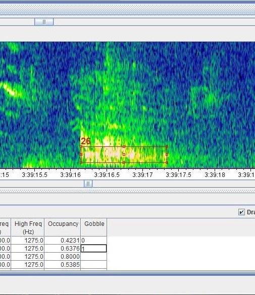 To most, a screen of colors.  To me, the signature of a wild turkey gobble! Months of data collection and analysis lie ahead, but the results will be important to our understanding of turkey behavior <a href="/WildTurkeyNerd/">Patrick Wightman</a> <a href="/DrShortSpur/">Bret Collier</a> <a href="/gamebirddoc/">James Martin</a> <a href="/GeorgiaWild/">Georgia DNR Wildlife</a>