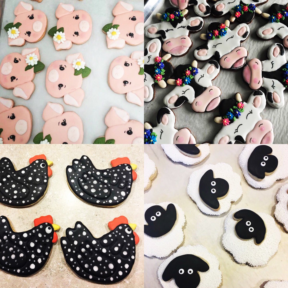 WashingtonCountyFairNY tweet media