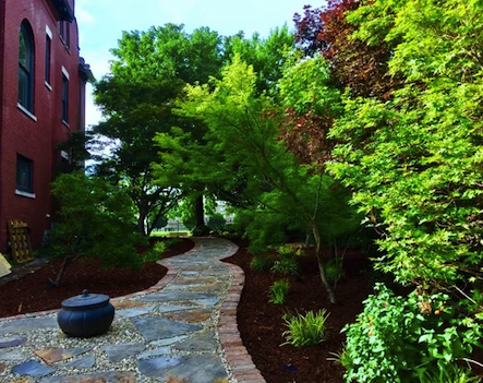 MightyGreenLawn's tweet photo. Trees and shrubs can increase your home’s value by up to 20%. Protect them and promote growth with our tree and shrub care program.
#mightygreen #lawncare #treeandshrubcare #freeestimates https://t.co/f8cdtnFhLj