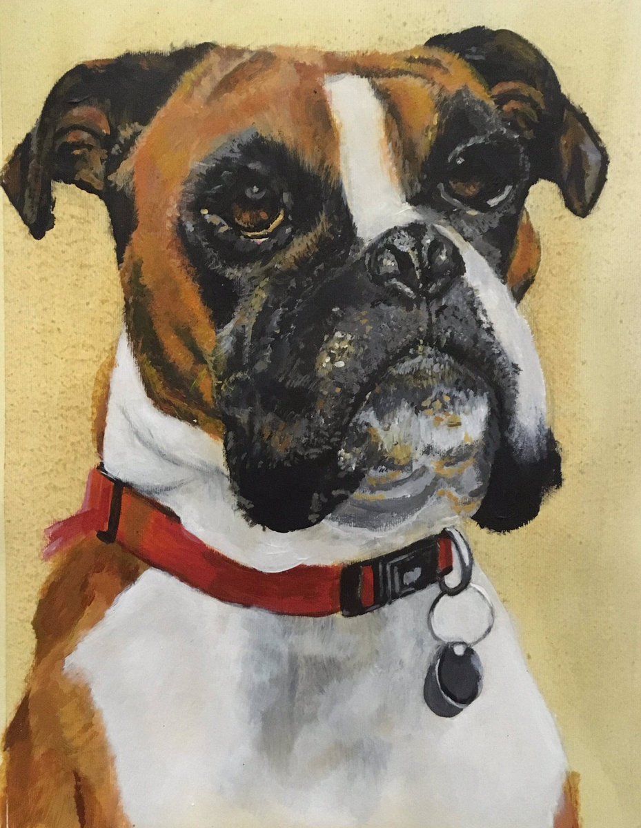 Here’s my latest commission...please re tweet to dog lovers that would like a pet portrait of their perfect pooch!! #boxer #dog #Surrey #doglovers #dogwalkers #kent @dogwalker @petservices11 @SurreyArt #art #originalart @surreymums @SurreyDogCentre @DogsTrust