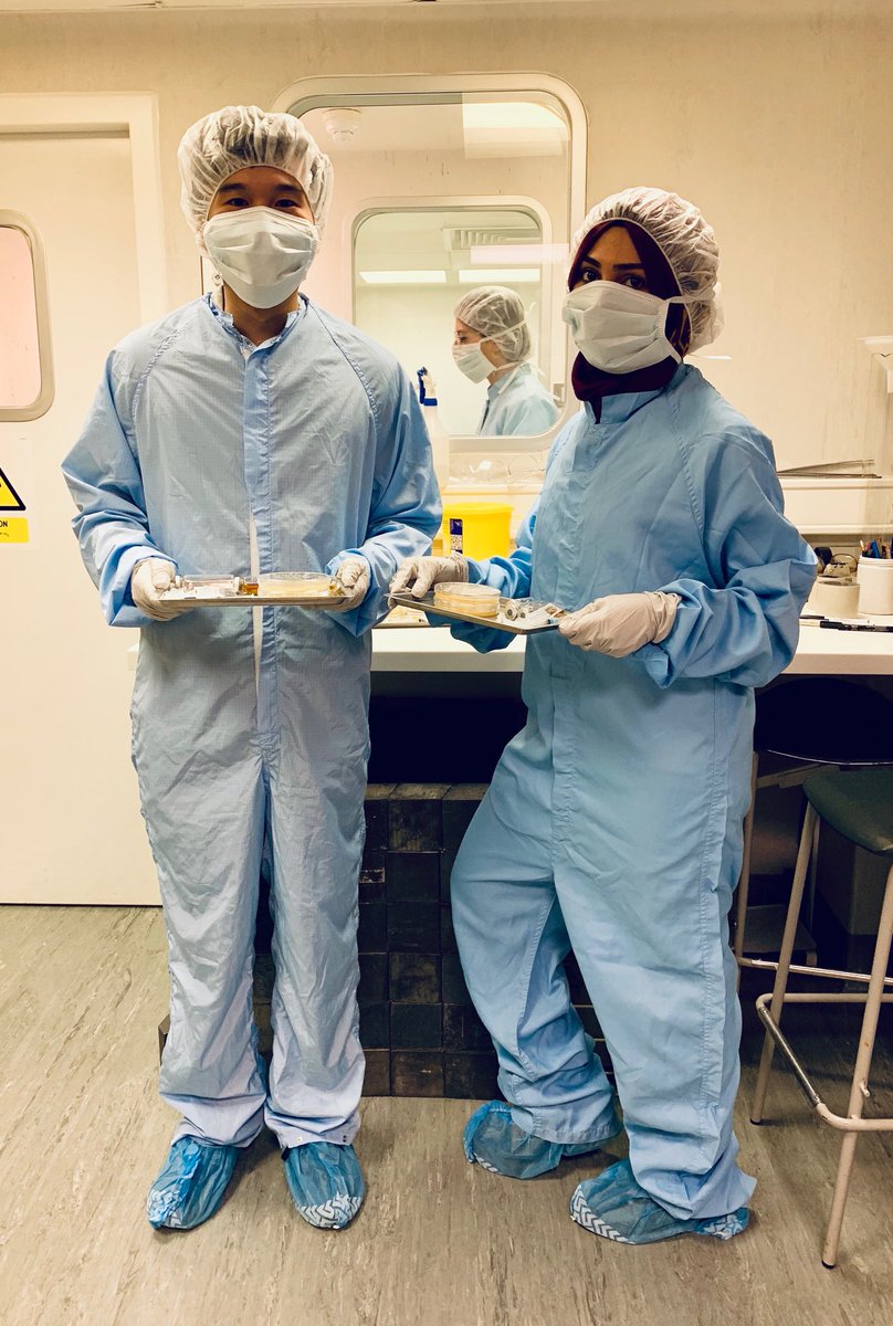 Paul Royall (@paul_royall) on Twitter photo Aseptic Manufacturing lab complete - Happy MPharmII students <a href="/KCLPharmSoc/">King’s College London Pharmacy Society</a> <a href="/KCL_Pharmacy/">King's College London Pharmacy 🌈</a> <a href="/KingsCollegeLon/">King's College London</a> Aseptic Manufacturing lab complete - Happy MPharmII students <a href="/KCLPharmSoc/">King’s College London Pharmacy Society</a> <a href="/KCL_Pharmacy/">King's College London Pharmacy 🌈</a> <a href="/KingsCollegeLon/">King's College London</a>