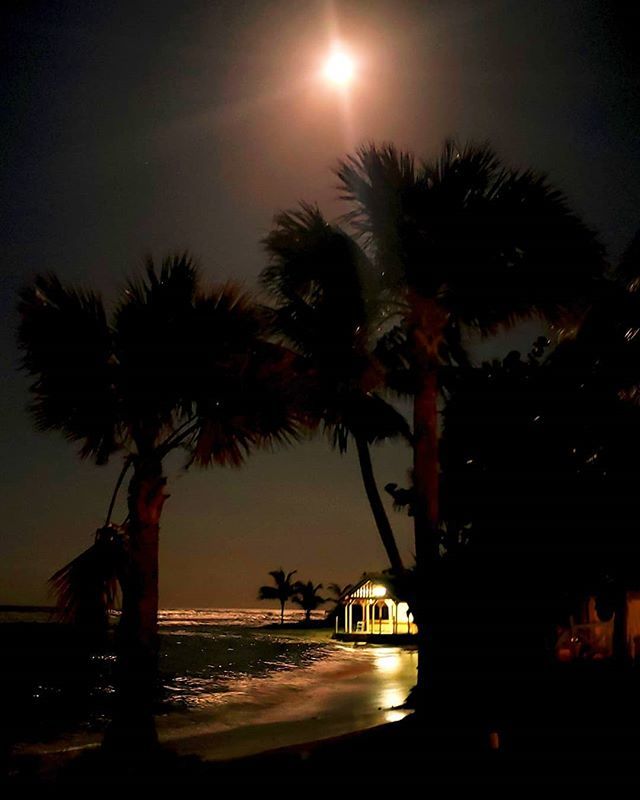 gardnersnake33's tweet photo. -5° Temperatures in March got me wishing I was back on this beach, watching the moon and the waves! @rawphotographersco #moonrise #beachnight #bluewater #carribeansea #jamaica🇯🇲 https://t.co/o6GcmfK0cX https://t.co/Zo6WpdKE6j