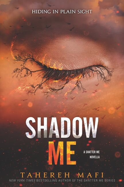 edwardanddamon's tweet image. Happy, Happy Release day to #ShadowMe ! @TaherehMafi 🎂🎉💜😊