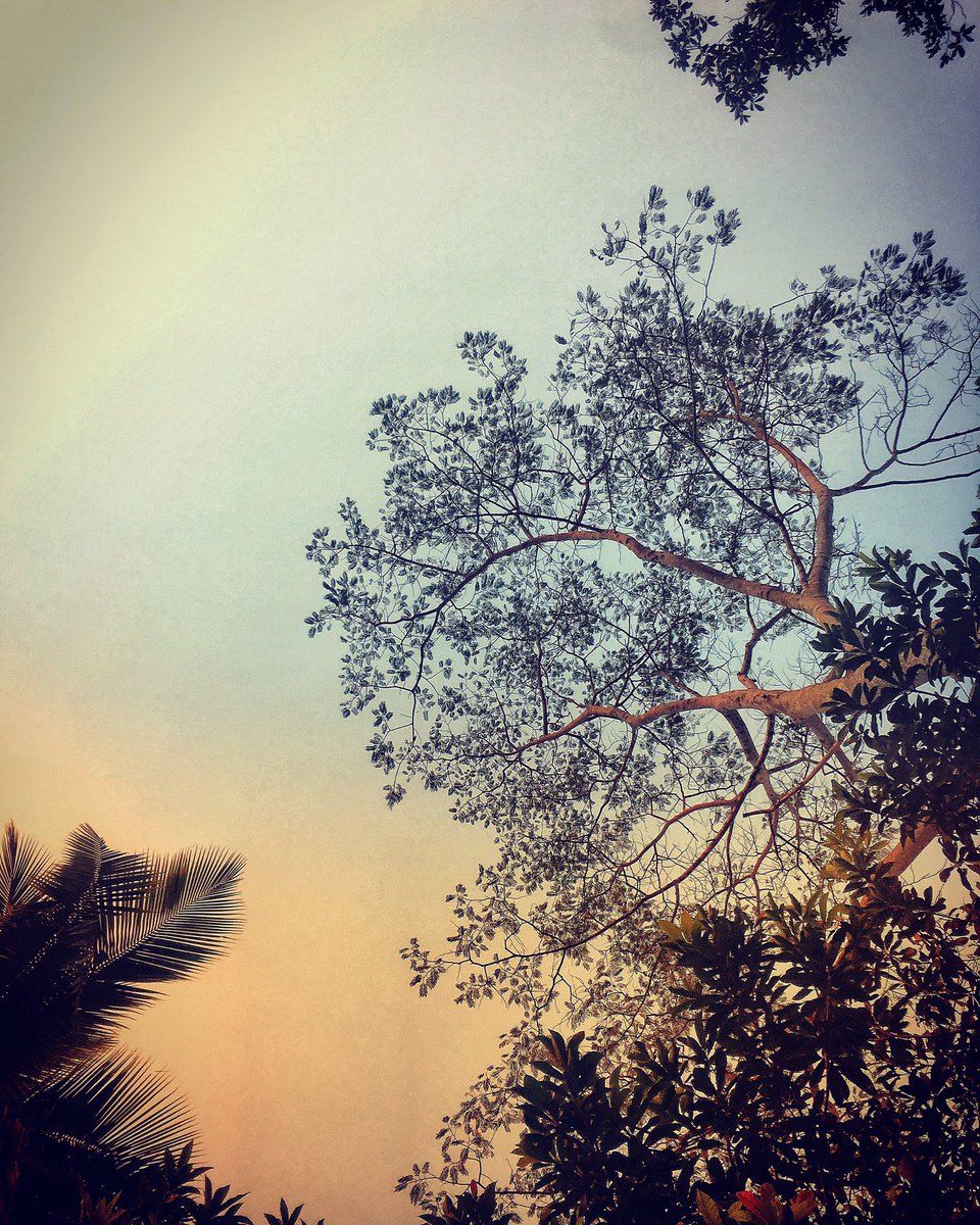 sameepnanda's tweet image. War and peace ... and a sundown #PeaceNotWar #SayNoToTerrorism #SayNoToWar #sunset #peace #love #travel #mytravelgram #Traveller