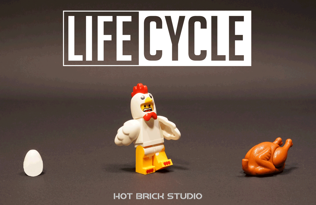HotBrickStudio's tweet photo. #lifecycle #chickenlifecycle #lego #legophoto #misterchicken #legochicken #legochickensuit #legochickensuitguy #hotbrickstudio #hotbrickstudioo https://t.co/qNJBULAnR6