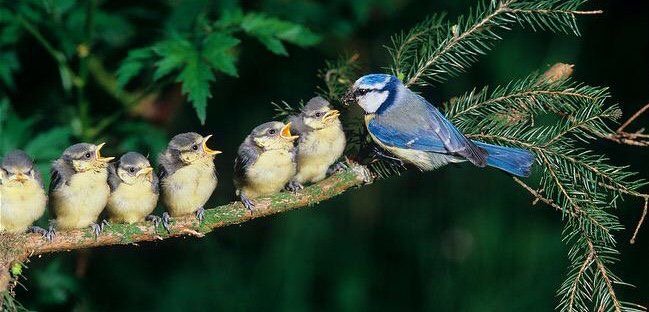ramblingsloa's tweet photo. You can’t help everyone
But everyone can help someone. https://t.co/JmgId196rX