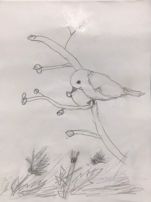 昨日ばあちゃんのえんぴつ画が送られてきたので公開します。
まずは梅の木にとまる鶯。鶯の頼りなさげでかわいい表情と、ぽってり優しい梅の木が描かれている中、足元のタンポポたちは暴風に晒されているという斬新な世界観。集中力が切れたんやろう。繊細さと雑なばあちゃんの性格があらわれていて◎ 
