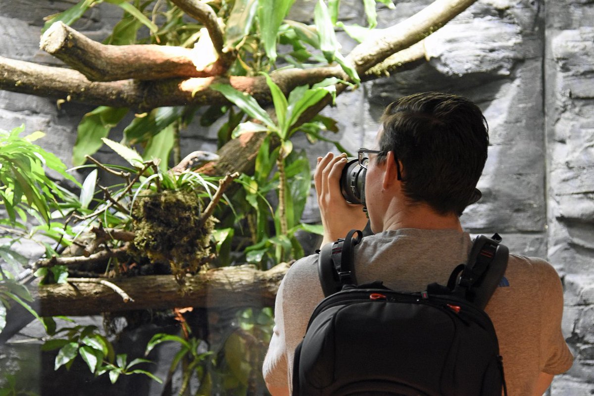 Duesseldorf's tweet photo. Bitte lächeln! Damit der nächste Schnappschuss gelingt, bietet das #Aquazoo Löbbecke Museum #Duesseldorf zum #Photoweekend Workshops des #Natur-Fotografen Patrick Appelhans für #Kinder und Erwachsene an. https://t.co/z60DmedD79 https://t.co/h2gBh9kHRu