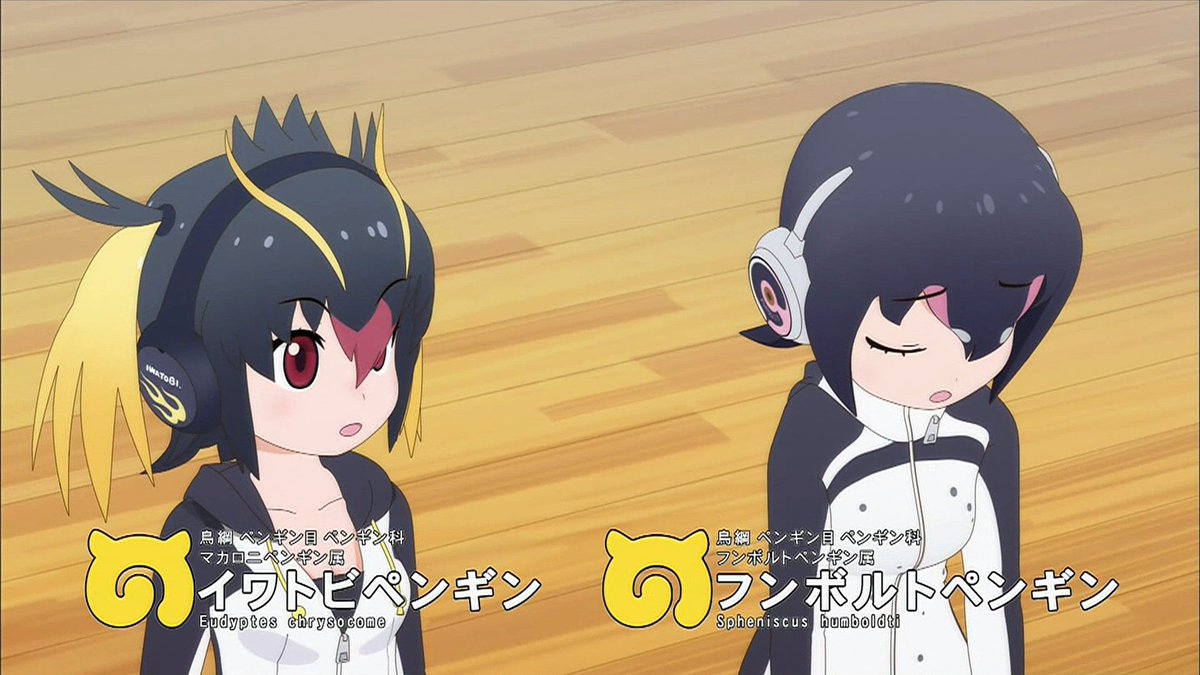 アニメマンガ名探偵すやまたくじ Auf Twitter コウテイペンギン 圧倒的じゃないか 胸の差はペンギンの種類となんか関係あるのかな そして ロイヤルに率いられるコウテイというのがシュールでツボw けものフレンズ けものフレンズ2 8話