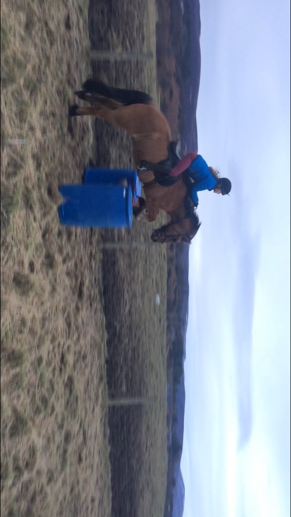 Orrin Equestrian tweet media
