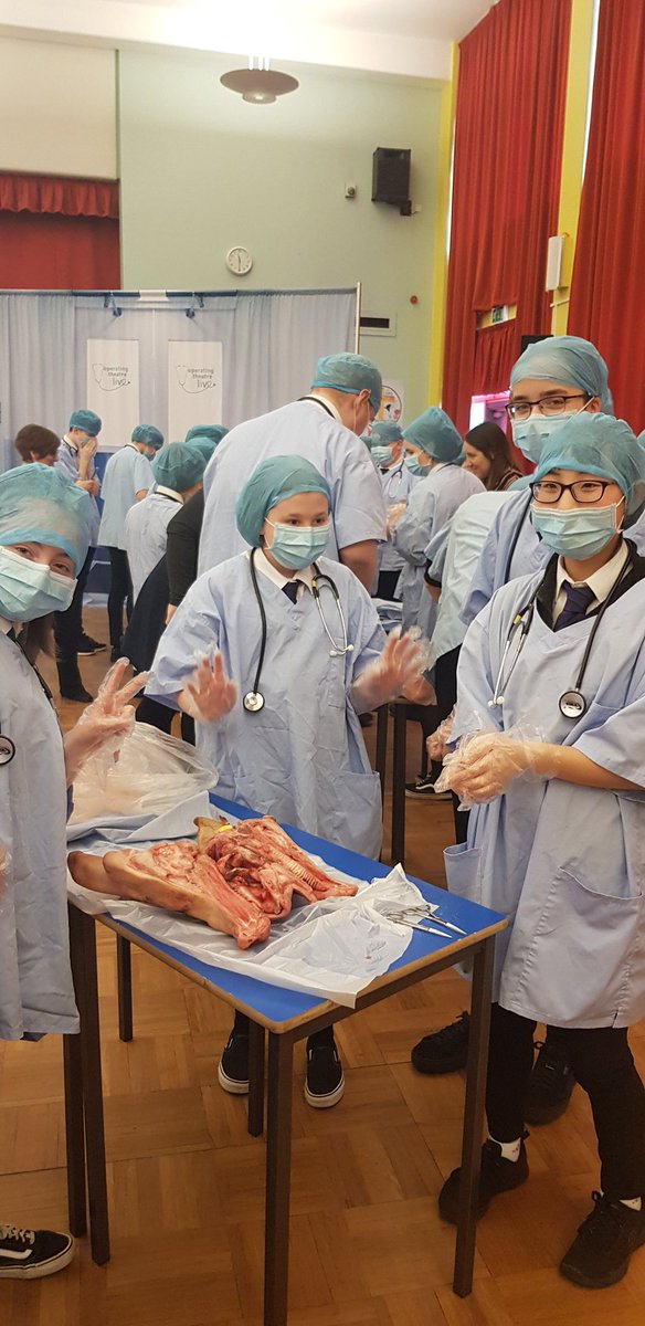 RosshallScience's tweet photo. Here are our @RosshallAcademy #futuremedics learning about basic medical technique and the nervous system by dissecting a pig's skull #OperatingTheatreLive #science #STEMGlasgow https://t.co/kLLLSHTKHR