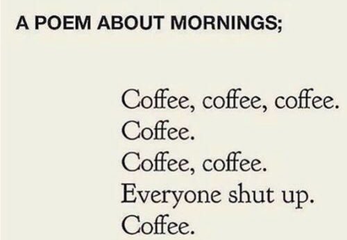 Pb11379's tweet photo. Truth! Don’t talk to me until then☕️What’s your morning like?! #Coffee #TuesdayMorning https://t.co/moNpgY5ppn