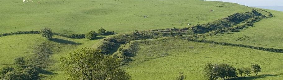griffiths_cy's tweet photo. Come and join an exciting weekend discovering recent excavations, new research and management developments along Offa's Dyke - one of the most iconic and mysterious monuments in Wales (oh, and England!) 
 https://t.co/QEKmk1Y9sG…/ https://t.co/ENQgLt6V8u