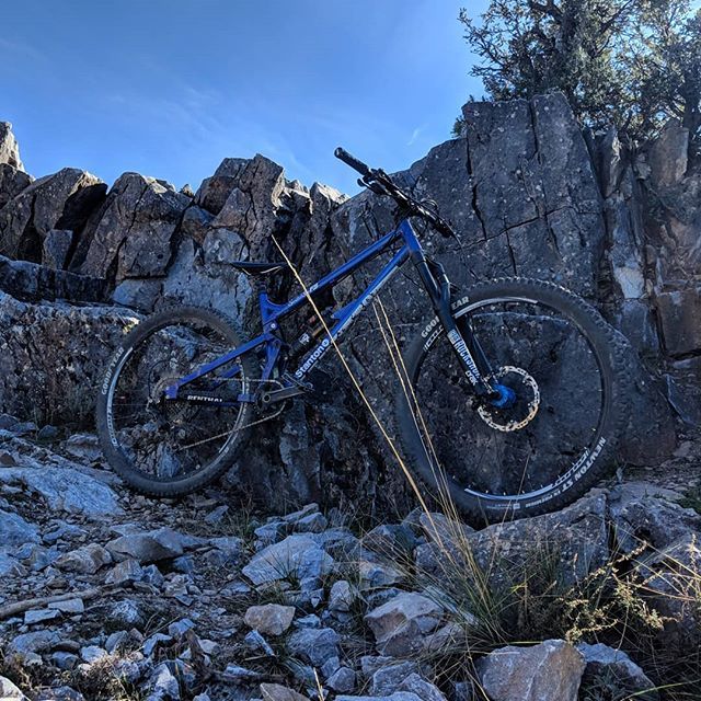 stanton 29er
