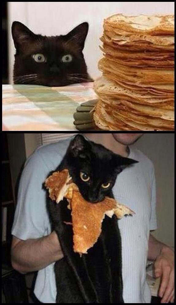 "I regret nothing. NOOOOOOTHING!"

#PancakeDay #PancakeTuesday #PancakeDay2019