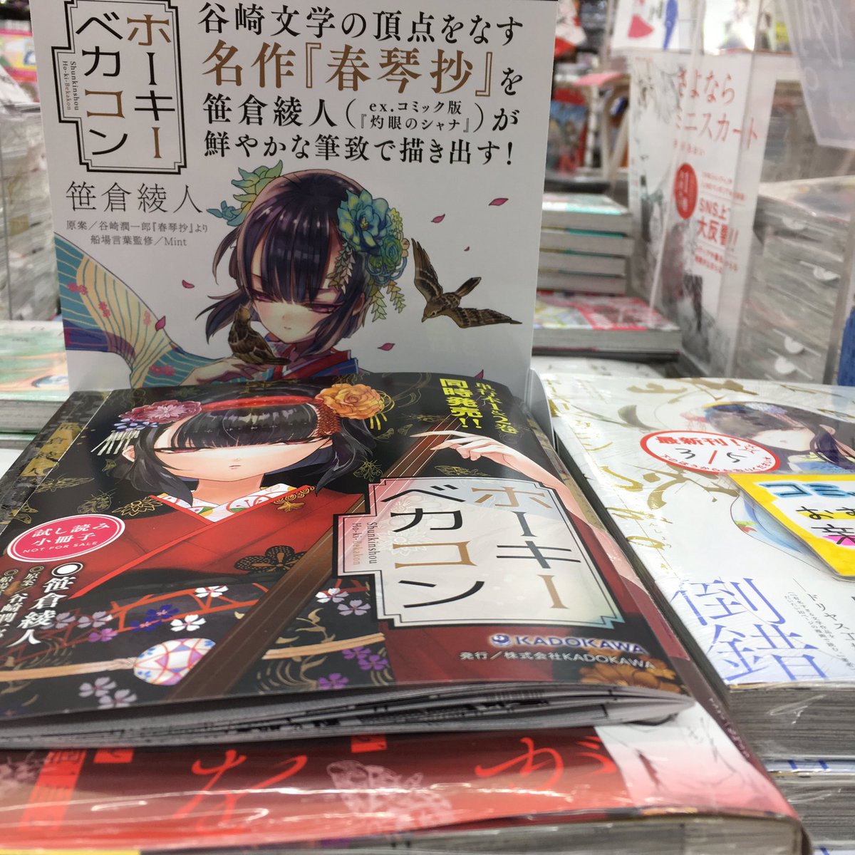 砂漠のハレム 砂漠のハレム