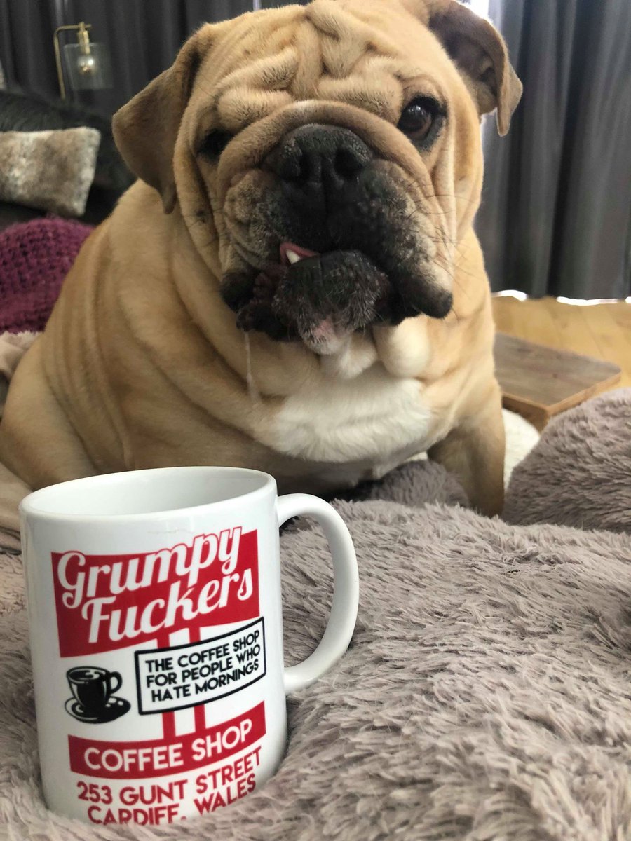 Check out this fucker. Get your mug here:
buff.ly/2Rj3qfW