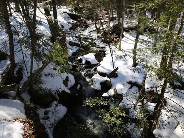 DHConservancy's tweet photo. It's still looking (and feeling) pretty wintry out there--but spring is on the way.
Photo by David B. Soete
#winter #spring #snow #seasons #nature #landtrust #dhconservancy #delawareriver #landconservation #conservation #forests #cleanwater #pr… https://t.co/T78H1p392G https://t.co/1AMztrVDTr
