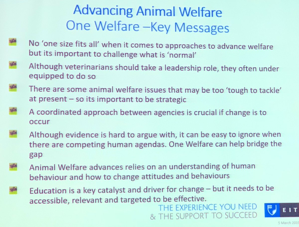 OneWelfareWorld's tweet photo. Many factors influence the way an animal is treated - a transdisciplinary approach to animal welfare can help better address this. An example is dog population management accounting for the welfare of dogs and their communities  N. Waran #OneWelfare https://t.co/Toer3o8kbj