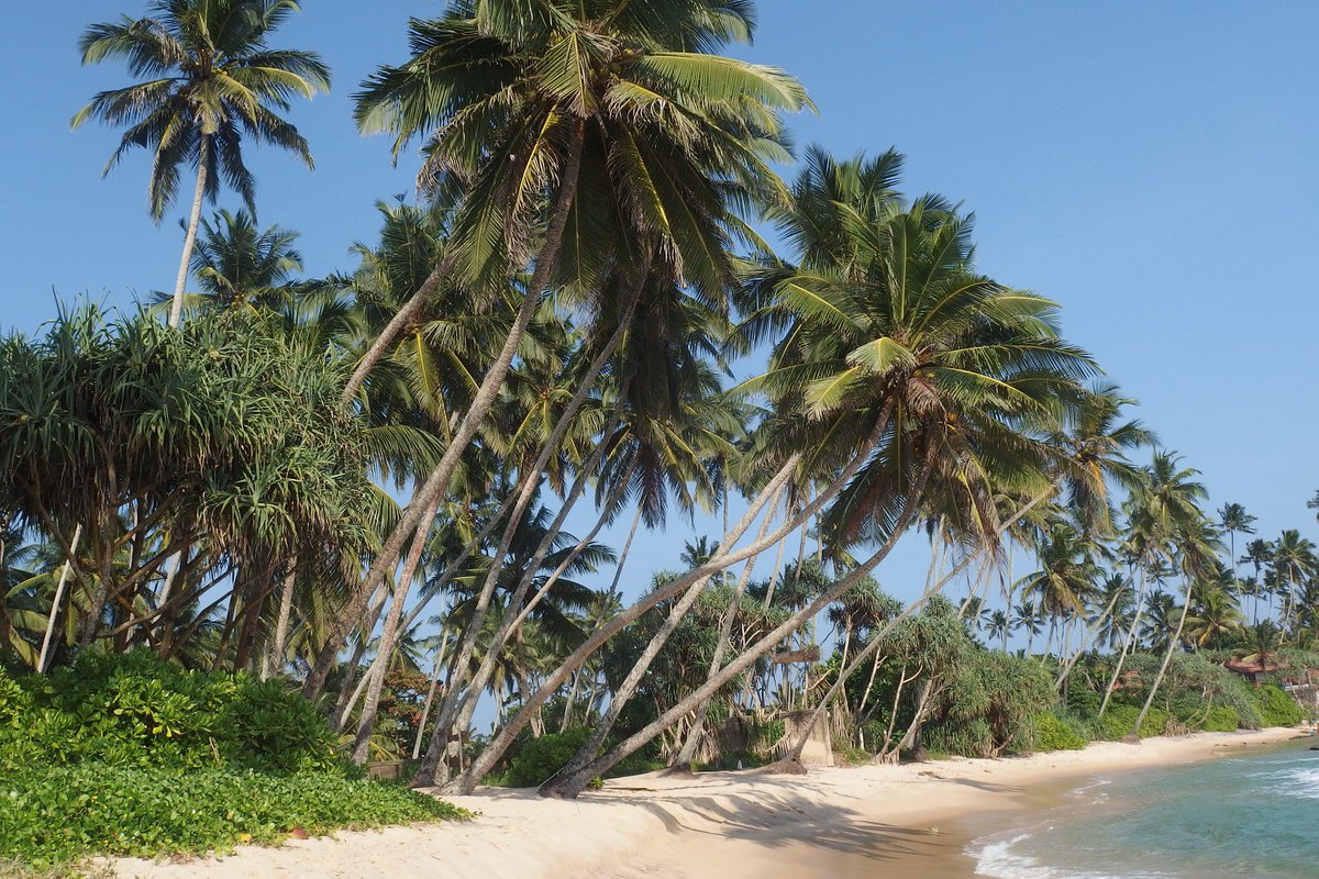 inVOYAGEevent's tweet photo. From timeless ruins & memorable beaches to friendly hosts & diverse wildlife, Sri Lanka packs a punch for incentive groups searching for new adventures. Little wonder that it tops our top 6 emerging destinations https://t.co/7ULqkuebtt #inspireedit #traveltuesday #events #luxury https://t.co/3tLoPRwloE