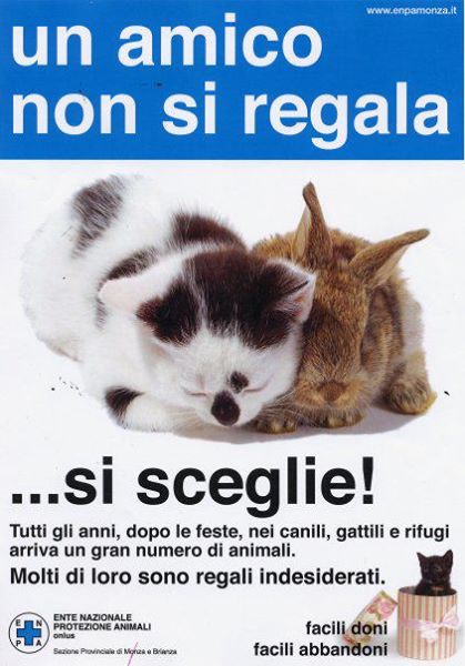 Claudia A Twitter Fermiamo Questo Stupido Modo Di Agire Gli Animali Non Si Regalano Gli Animali Non Si Comprano Gli Animali Si Adottano Per Sempre 5marzo Conilverbofermare Adoptdontshop Petsarefamily Catlovers Salviamocuoripelosi