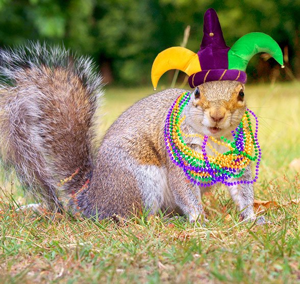 It's #FatTuesday and time to throw that #MardiGras party. #BeadsBeadsBeads