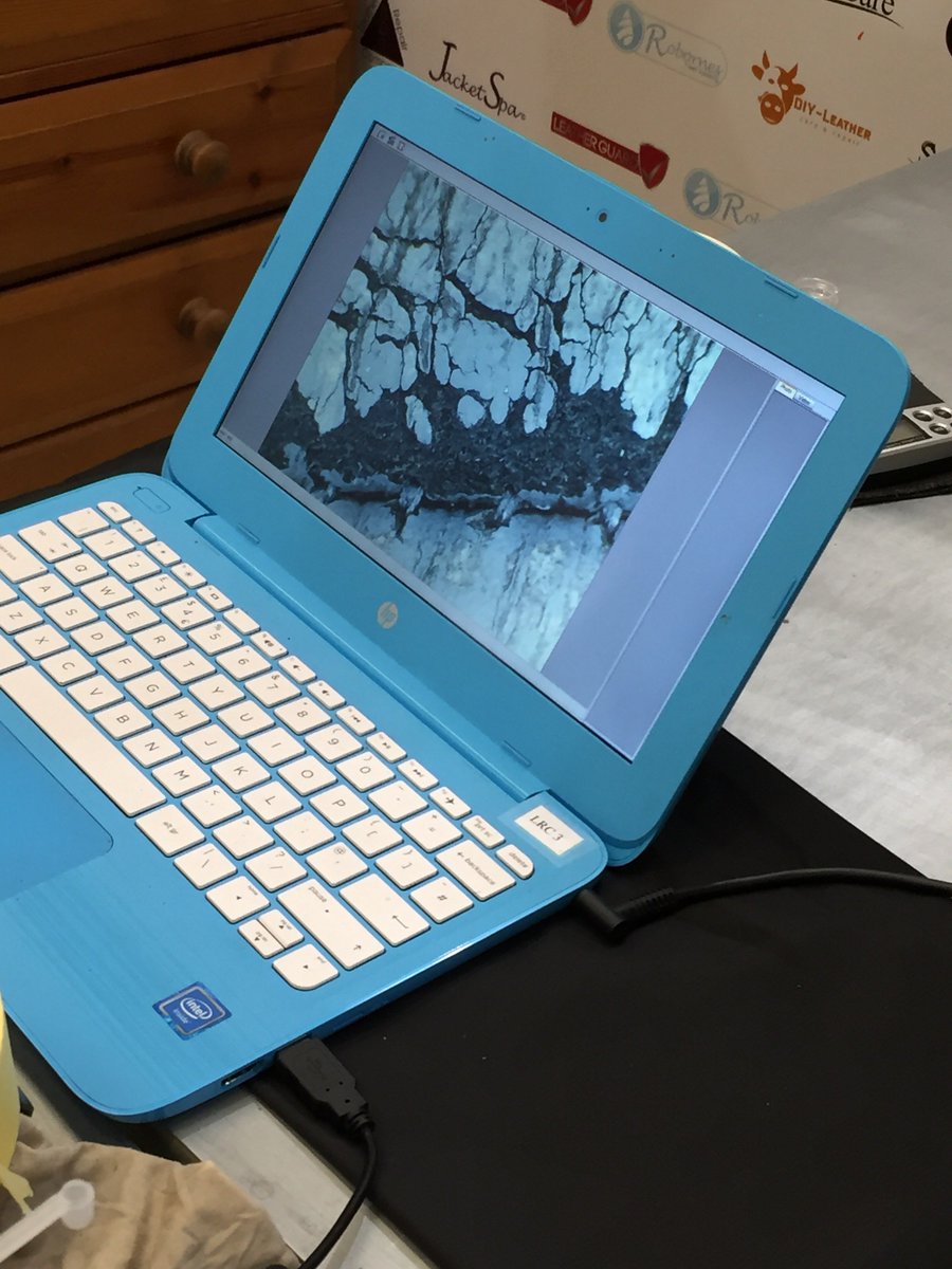 LRC_Apprentice's tweet image. Ever wonder what #dirty #leather looks like under a #microscope?

Check it out

#dirtyleather #leatherrepair #funfact #lookatthis