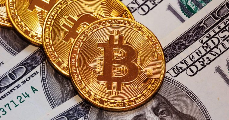 Evonax_com's tweet photo. Will 2019 Be The Year When Crypto Hits Another Bull Run?  https://t.co/kOPDGEqiCN #Cryptocurrency #CryptocurrencyExchange #Crypto #Bitcoin https://t.co/DlN9G6jBYx