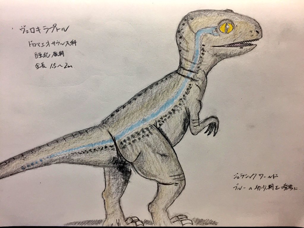 ぺいちゃん 駆け出し恐竜ハンター ブルーの幼少期を描いてみました イラスト初心者だから やはりシワの表現や影の付け方など色々イマイチ ジュラシックワールド ヴェロキラプトル ブルー 恐竜イラスト