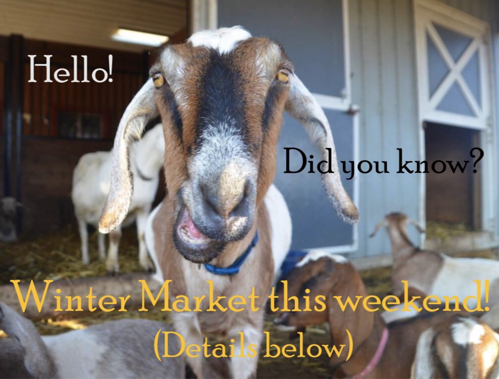 Olivia the goat from Amazing Acres here letting all of you know: WINTER MARKET THIS SATURDAY (MARCH 9)!!! 1-3 PM in the Lower Lot at Grace Chapel.
#wintermarket #havertown #buylocal #eatlocal #shoplocal #oakmontfarmersmarket #OMF