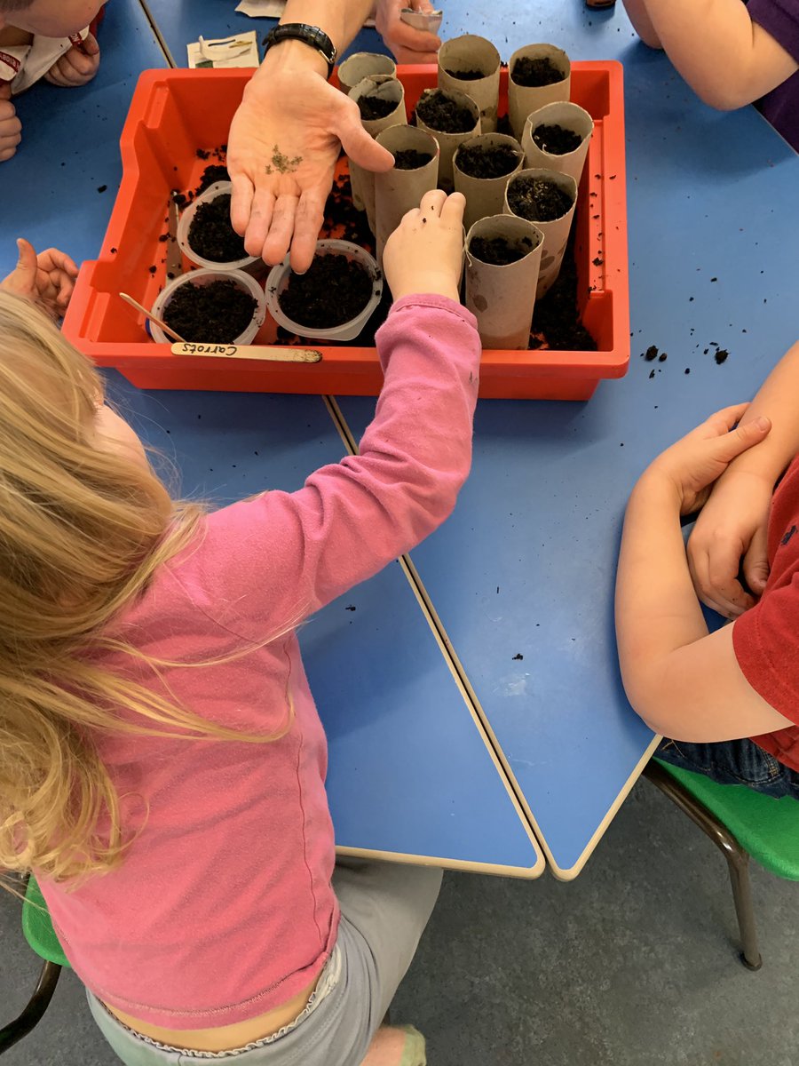 #seizetheseason our mystery bulb has sprouted, our chits are amazing and we’re just planting some cress for quick growing and carrots inside kitchen roll cardboard tubes! #foundationphase #earlyyears #eas