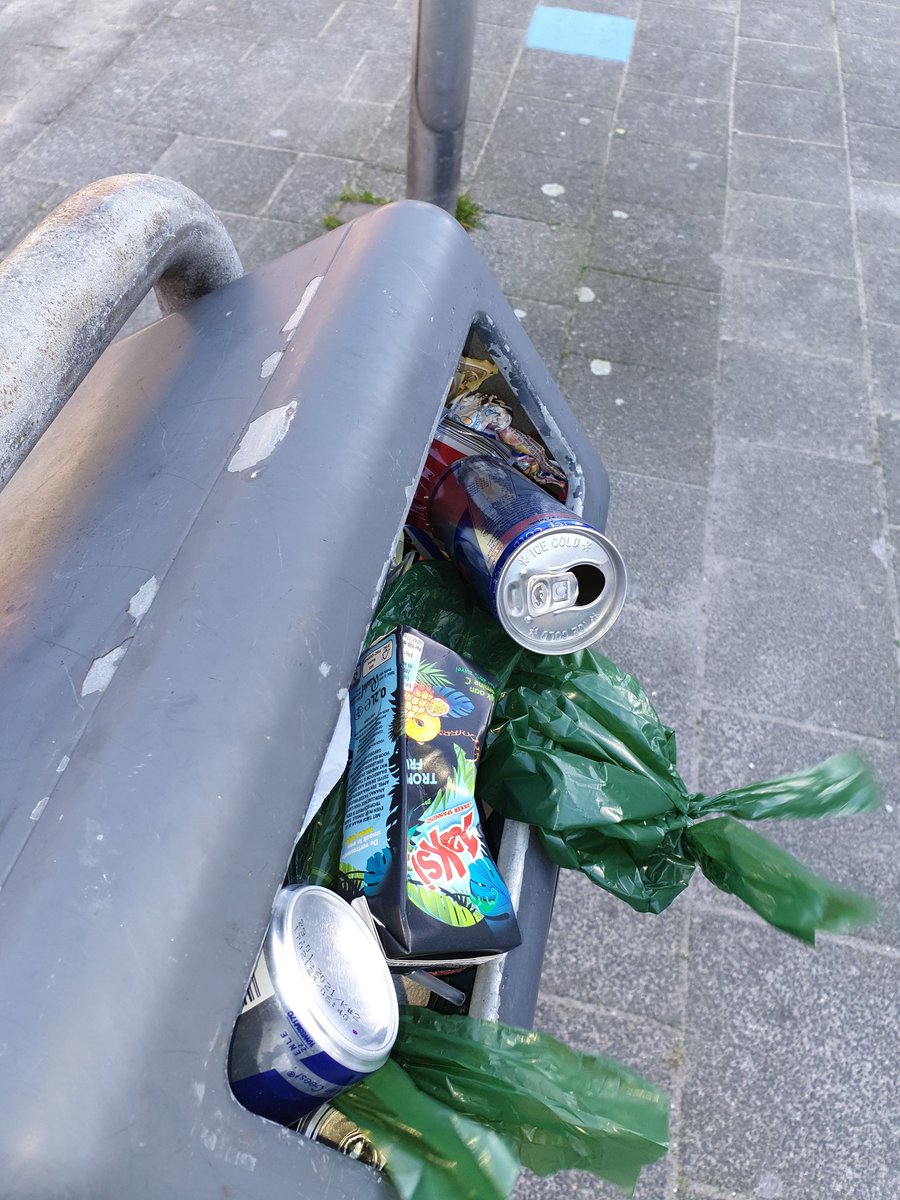 de_heleen's tweet photo. @PijnackerNootdp de prullenbak op het pleintje in de prins Hendrik straat zit al dagen propvol. Gelukkig gaan er al kinderen met de poepzakjes aan de haal🤷‍♀️. Mischien vaker legen? https://t.co/fJNEaXC3Qm