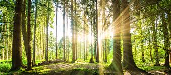 Printwaste's tweet photo. A little something to think about  - If every person in the UK recycled just 10% more paper it would save approximately 5 million trees each year. #recycling #thoughtfortheday
https://t.co/9ArEIDJpWy https://t.co/9zpGm8MGjp