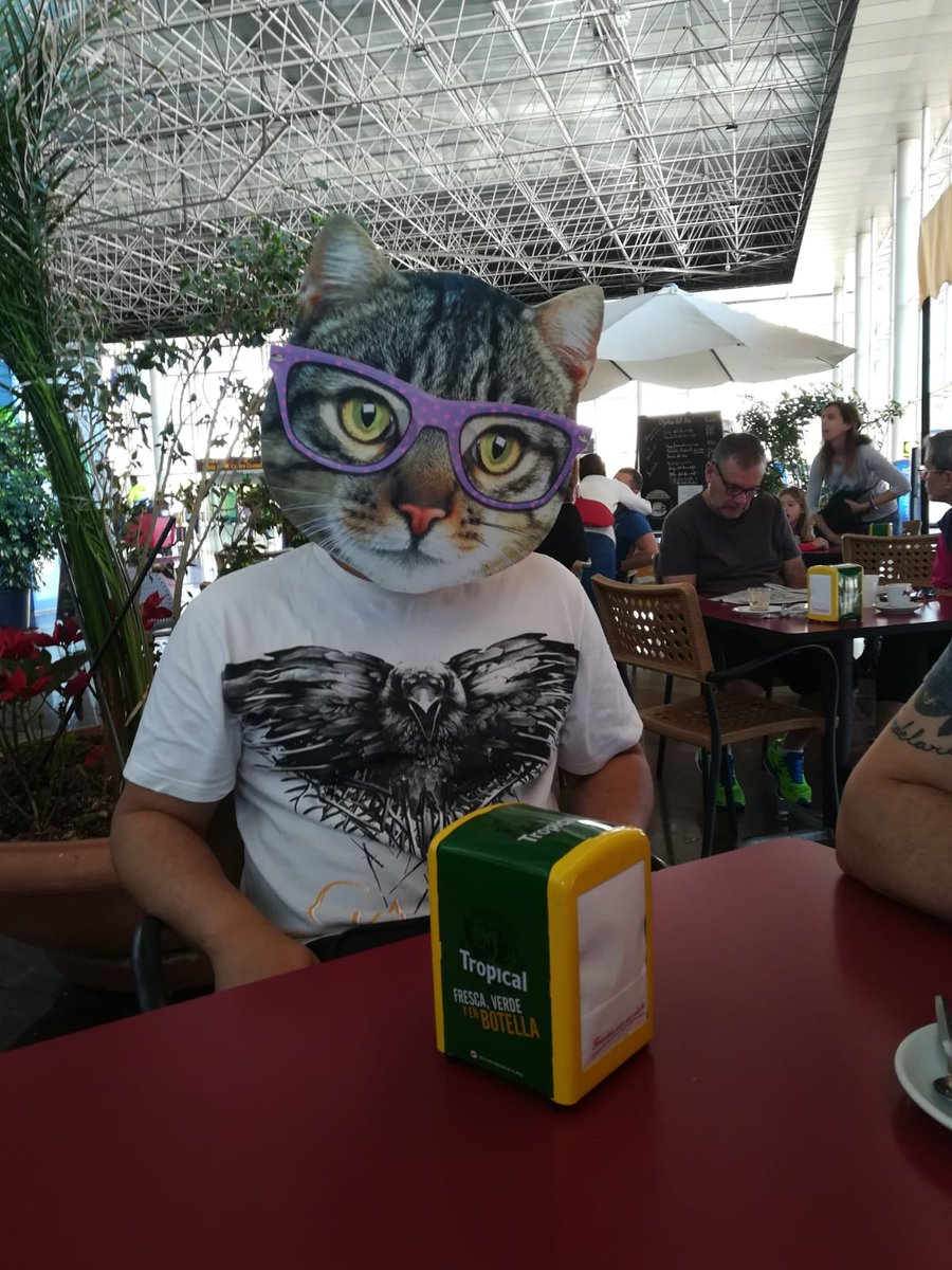 ficus0lobo's tweet photo. y asi es como Lobo se convierte en Gato por carnavales! https://t.co/1qk1tihYsV