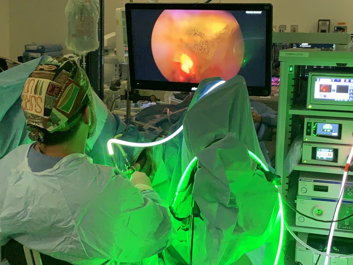 RyanColligan's tweet photo. Go BIG or go 🏠 ! Dr. Ed Karpman taking a 150g prostate down to surgical capsule using the #GreenLEP technique. Bye bye BPH!#GreenlightPVP #bsc_urology https://t.co/wzzuBKzr3z https://t.co/HSn8RSewsA