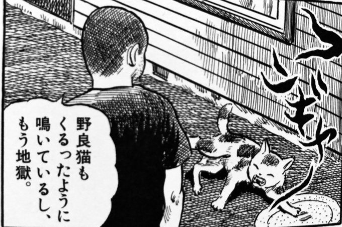 そろそろ寝るとこだったんですけお… 