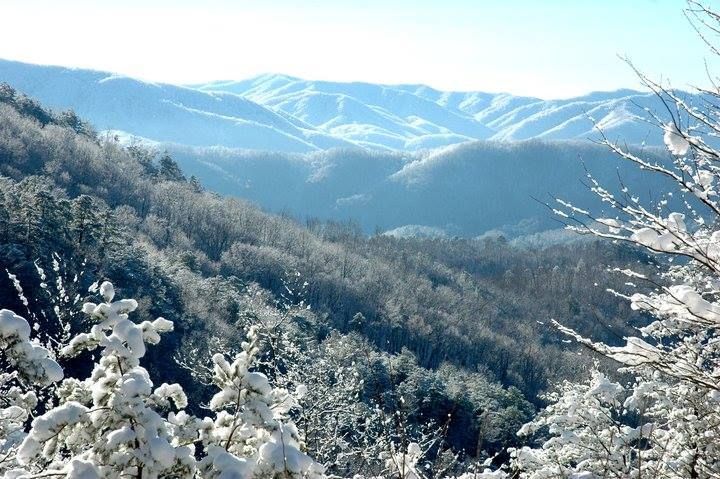 PeacefulSmokies's tweet photo. Snow is melting, #springinthesmokies is coming! https://t.co/AQHMqVNCZ0