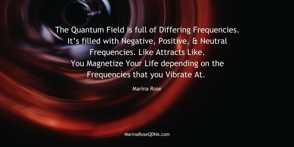 Marina Rose, QDNA® tweet media